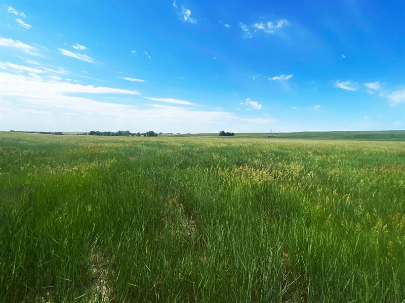 318 Acres, Dawes County, Dawes : Chadron : Dawes County : Nebraska