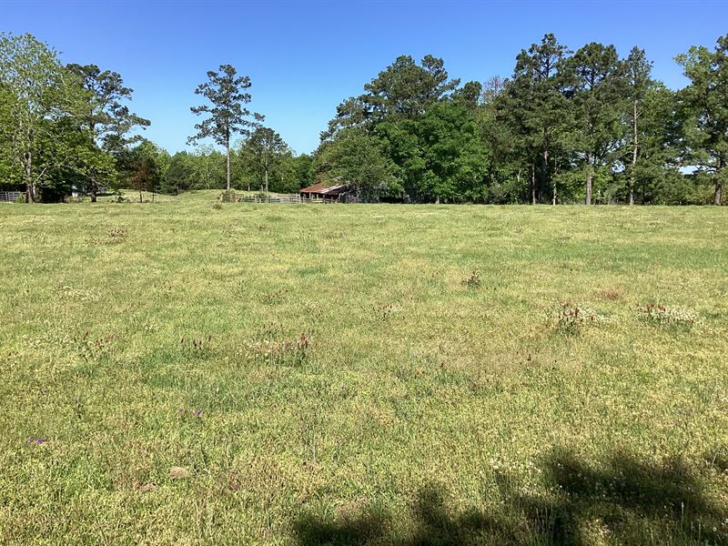 Uly Quail Tower Rd 40 Ac Tract : Luverne : Crenshaw County : Alabama