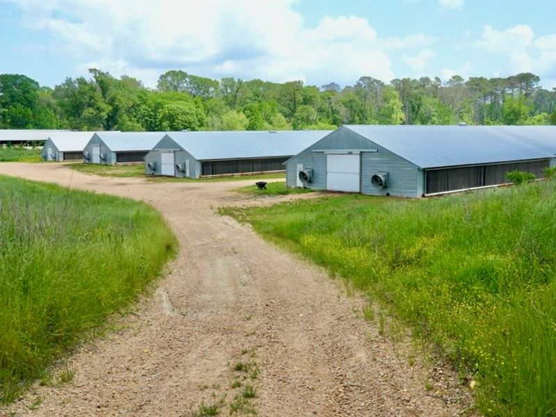 Mississippi Poutry Farm for Sale 45 : Wesson : Copiah County : Mississippi