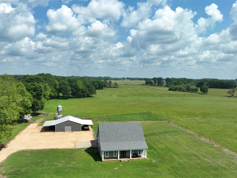 Rolling Meadows & Scenic Pastures : Greenville : Butler County : Alabama