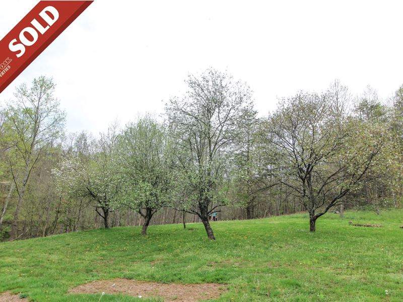 Moss Run Rd Lot 1, 26 Acres, Wash : Marietta : Washington County : Ohio