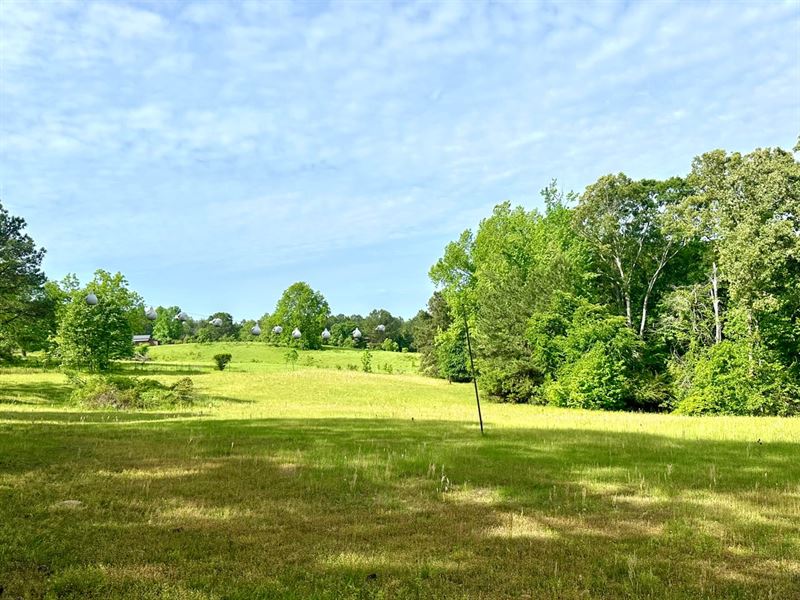 Whippoorwill Hill, 16 Acres Perry : Marion : Perry County : Alabama