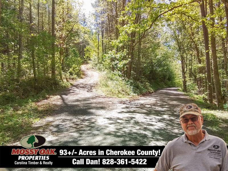 93.2 Ac Surrounded by Usfs : Murphy : Cherokee County : North Carolina