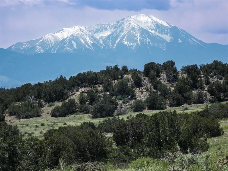 39.24 Acre Gordon Ranch Parcel : Walsenburg : Huerfano County : Colorado