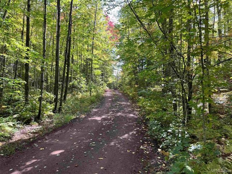 Michigan Wooded Rec Property : Champion : Marquette County : Michigan