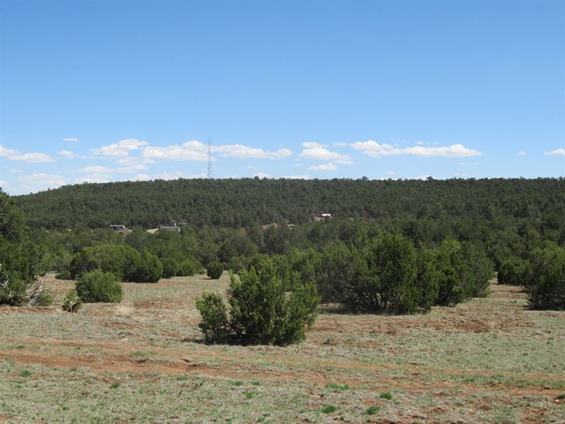 240 Jesse James, 107 Ac : Tijeras : Bernalillo County : New Mexico