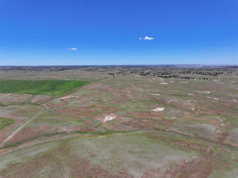 586 Acres, Cheyenne County : Potter : Cheyenne County : Nebraska