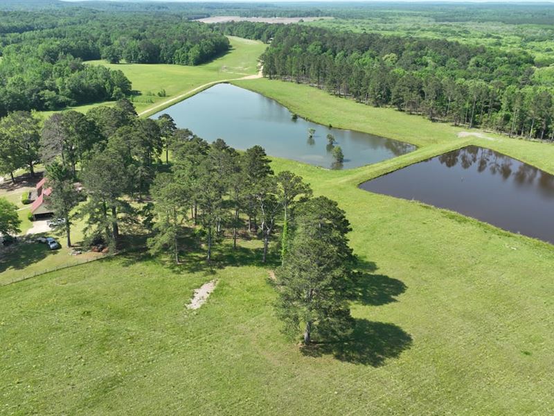 887 Acres in Smuteye : Smuteye : Barbour County : Alabama