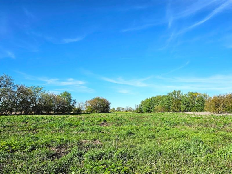 Tillable Ground Near Hoopeston, IL : Hoopeston : Vermilion County : Illinois