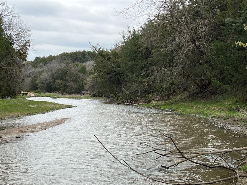 120 Acres Eagle Creek Hunting LA : O'neill : Holt County : Nebraska