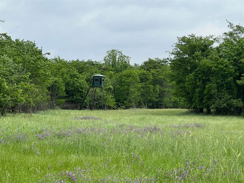 Ar, Mississippi 1004 Acres : Tomato : Mississippi County : Arkansas