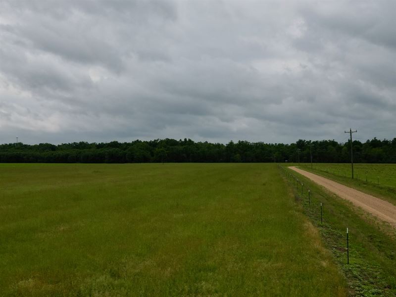 53 Acres in Winnsboro, Louisiana : Winnsboro : Franklin Parish : Louisiana