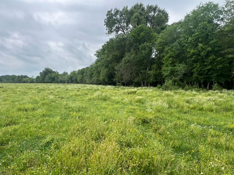 27 Acres in Winnsboro, Louisiana : Winnsboro : Franklin Parish : Louisiana