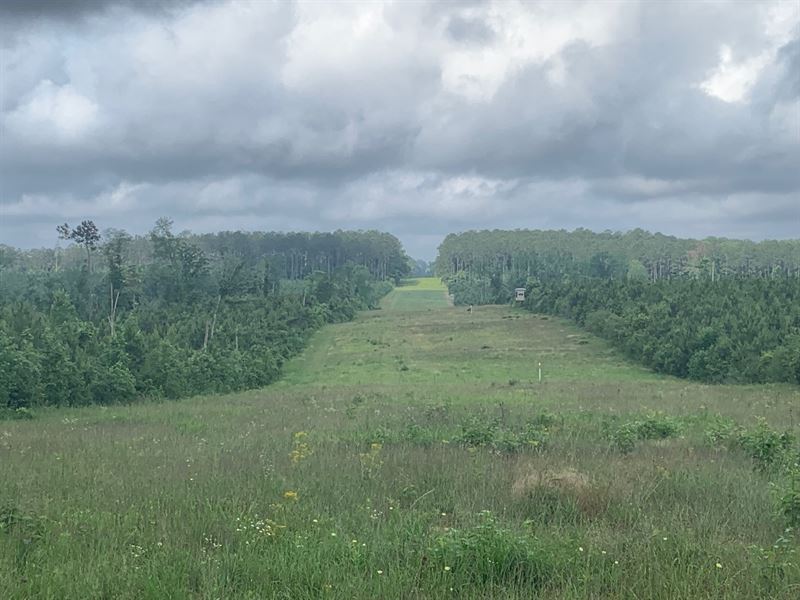 Hunting Haven, Easley Road : Magnolia : Amite County : Mississippi