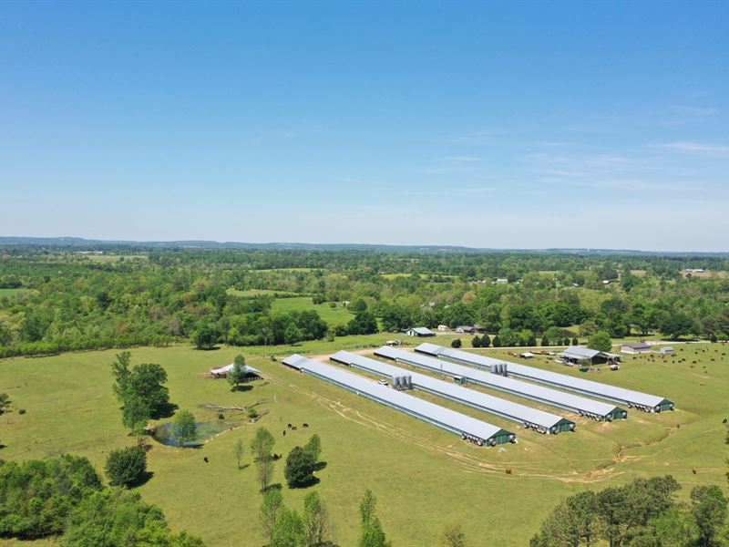 Rocky Hollow Broiler Farm : Boaz : Marshall County : Alabama