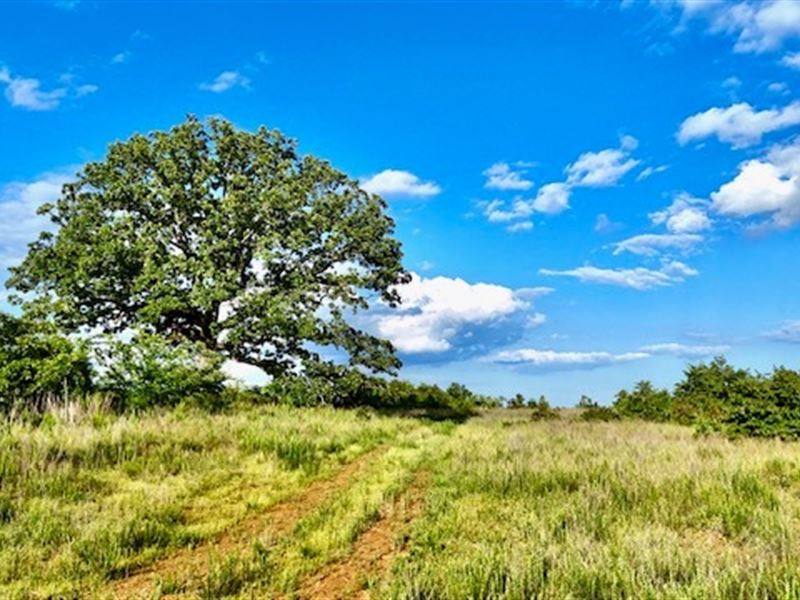 The Lone Oak Tract : Carlton : Oglethorpe County : Georgia