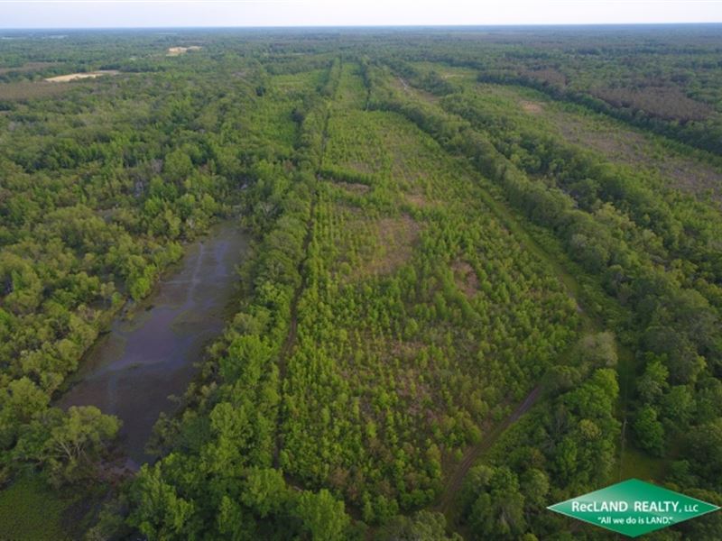 280 Ac, Wrp Hunting Tract : Delhi : Richland Parish : Louisiana