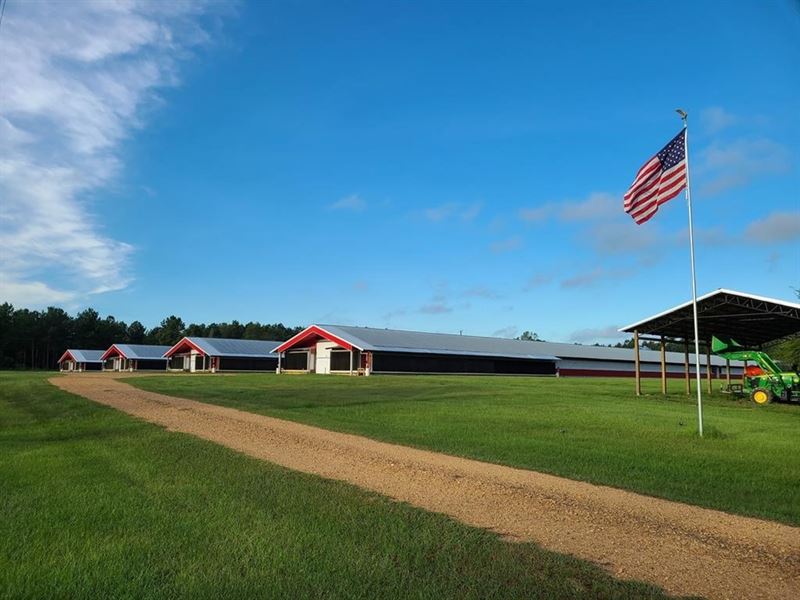 MS Poultry Broiler Farm 100 Acres : Magnolia : Amite County : Mississippi