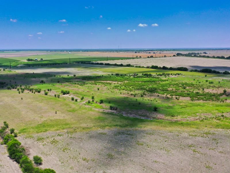 10.01 Acres Near San Antonio : D'hanis : Medina County : Texas