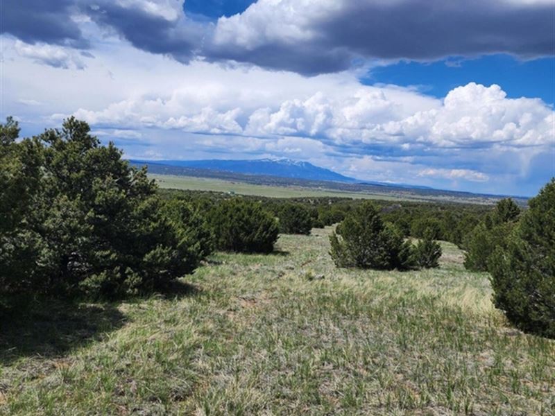 LA Veta Pines Ranches Rd Lot 15 : La Veta : Huerfano County : Colorado