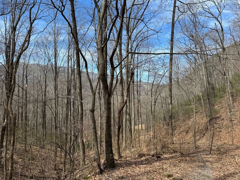 179 Acres, Haywood County, NC : Canton : Haywood County : North Carolina