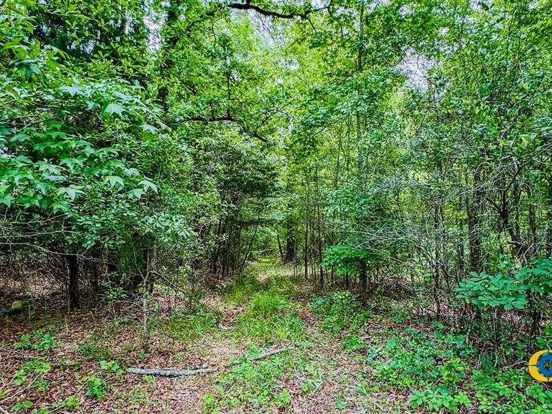 Ways Grove Church Road Tract : Wrens : Macon County : Georgia