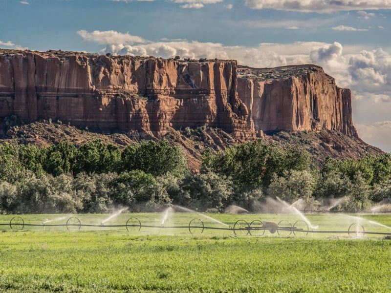 San Juan River Farm : Bluff : San Juan County : Utah