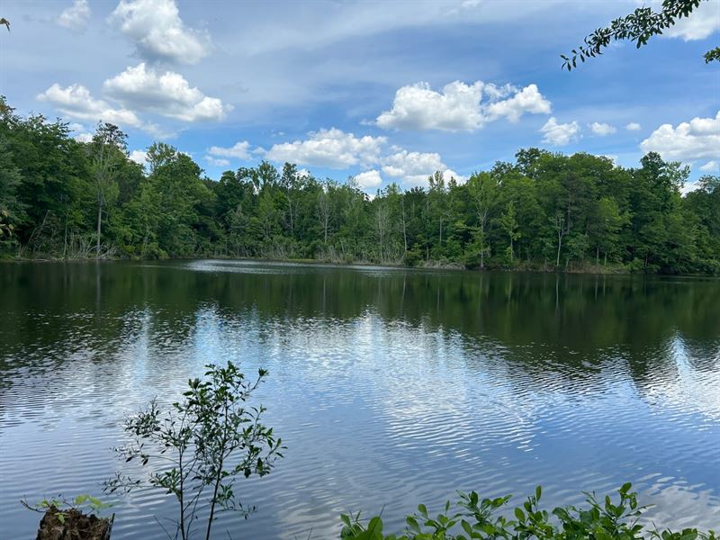 Hunting, Timber, Fishing, Future Fa : Gray : Jones County : Georgia