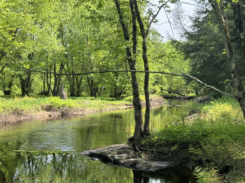 Camp Site on The Oswegatchie River : Diana : Lewis County : New York