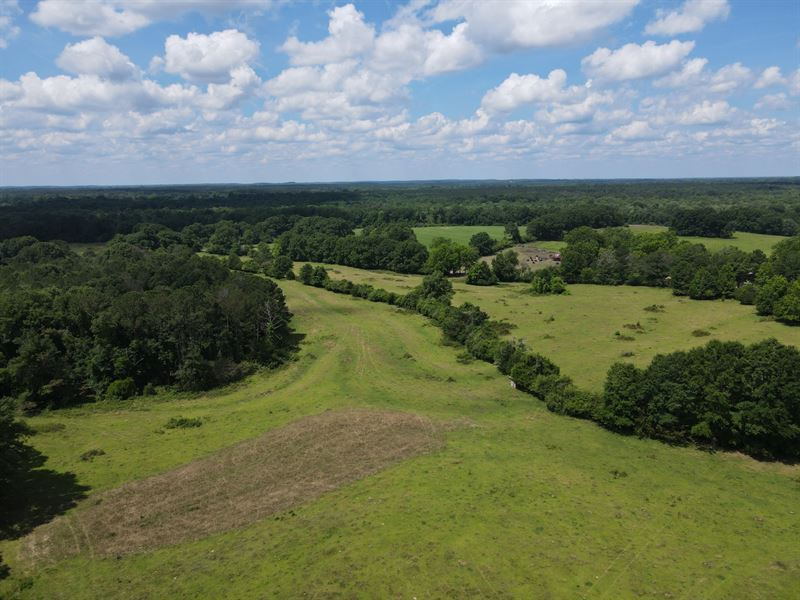 Centenary Road 26 Acres : Rutledge : Crenshaw County : Alabama