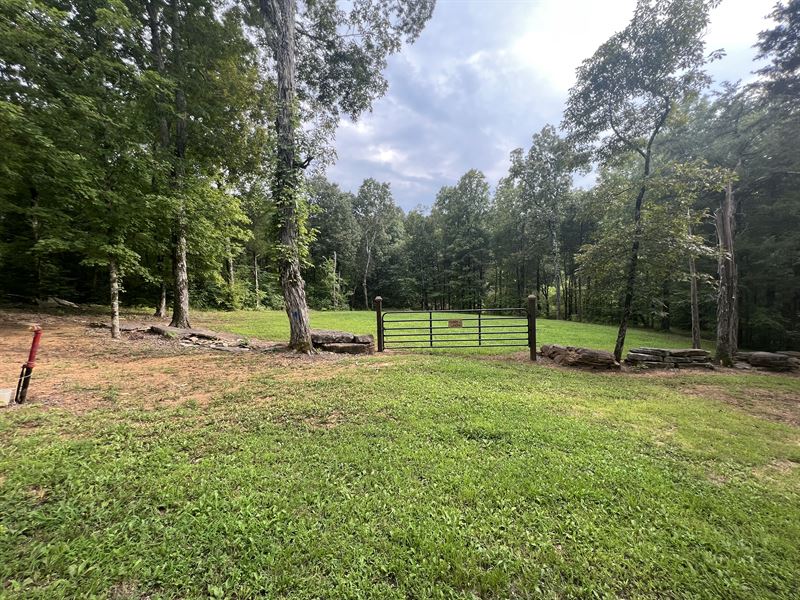 Nice Land Near Tennessee River : Linden : Perry County : Tennessee