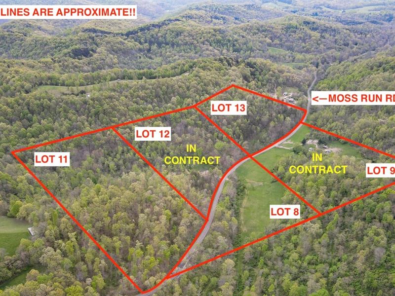 Moss Run Rd Lot 11, 17 Acres, Was : Marietta : Washington County : Ohio