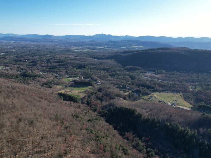 Blue Ridge Forest : Chittenden : Rutland County : Vermont