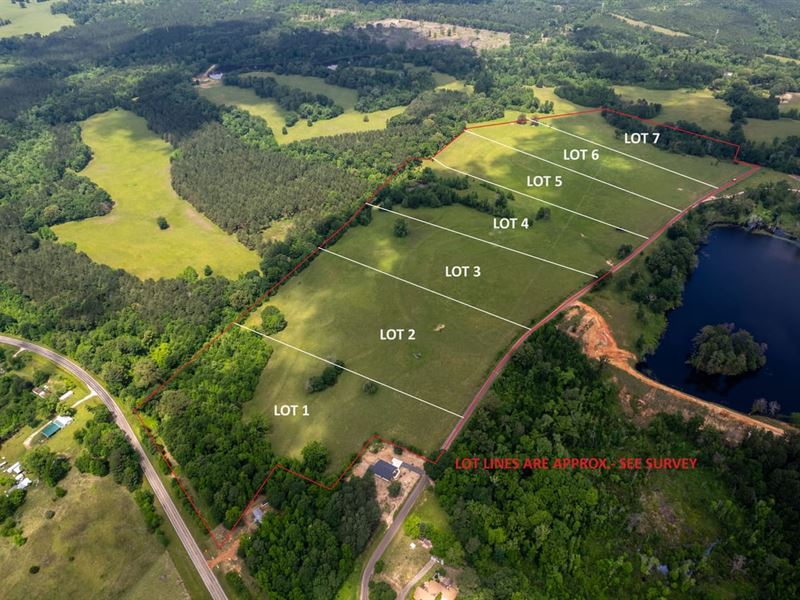 Oak Ridge Estates Lots 1-7 : Harleton : Harrison County : Texas