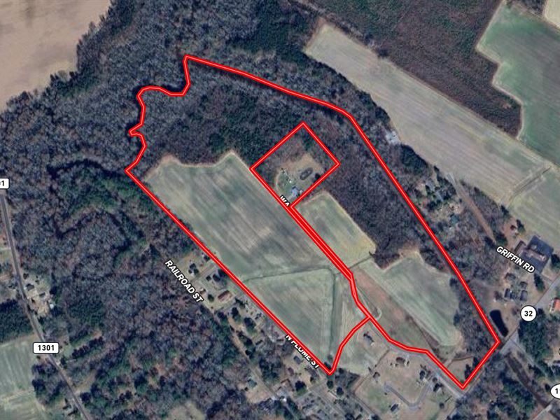 Prime 70+ Acres for Development : Roper : Washington County : North Carolina