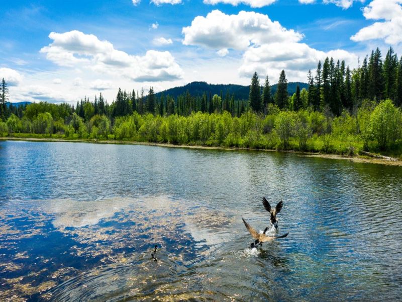 Oxbow Lodge : Priest River : Bonner County : Idaho