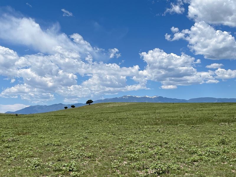 Amanda Lane at Sikes Ranch : Rye : Pueblo County : Colorado