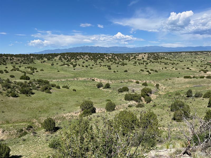 Hatchet Ranch 54 : Pueblo : Pueblo County : Colorado