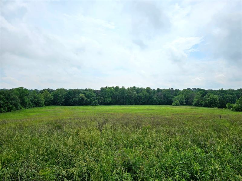 20 Acres Prime Building, Hunting : Golconda : Pope County : Illinois