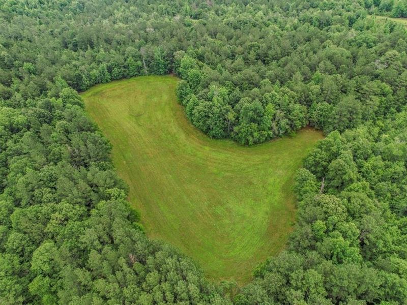 Rare Hunting Tract for Sale in Forr : Purvis : Forrest County : Mississippi