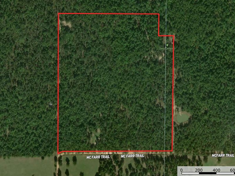 Wirth Property, 39 Acres : Wirth : Sharp County : Arkansas