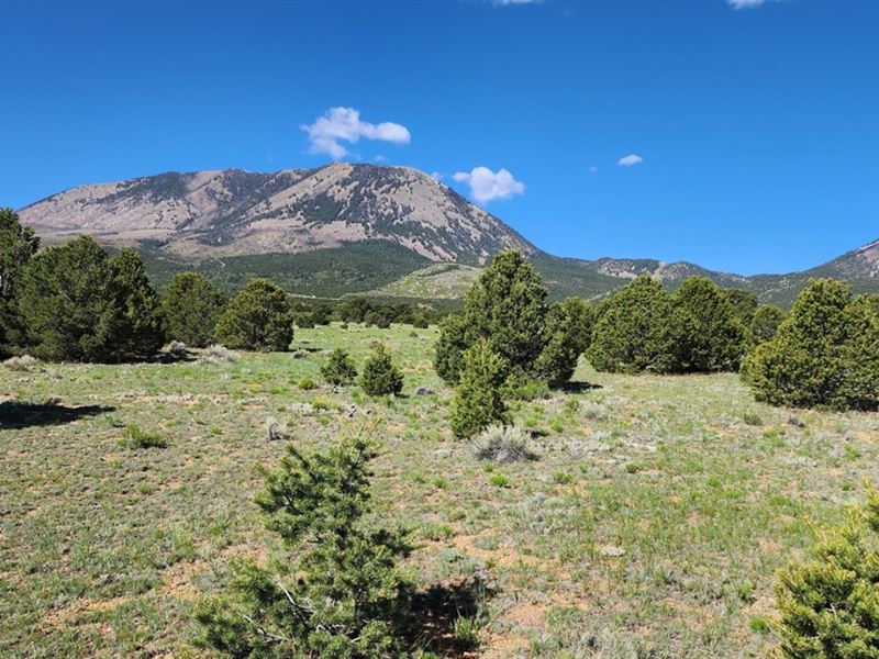 60 Colorado Land & Grazing Cc-1 : Gardner : Huerfano County : Colorado