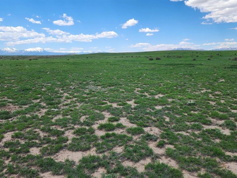 258 Colorado Land & Livestock : Walsenburg : Huerfano County : Colorado