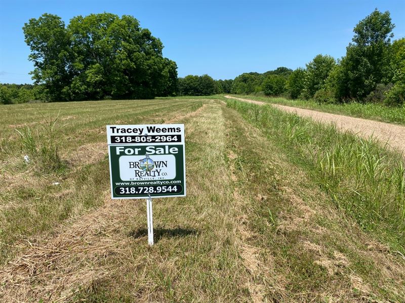 La, Tensas 85 Acres : Saint Joseph : Tensas Parish : Louisiana