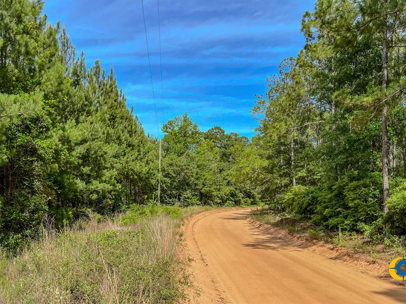 Miller Road West Tract : Mauk : Marion County : Georgia