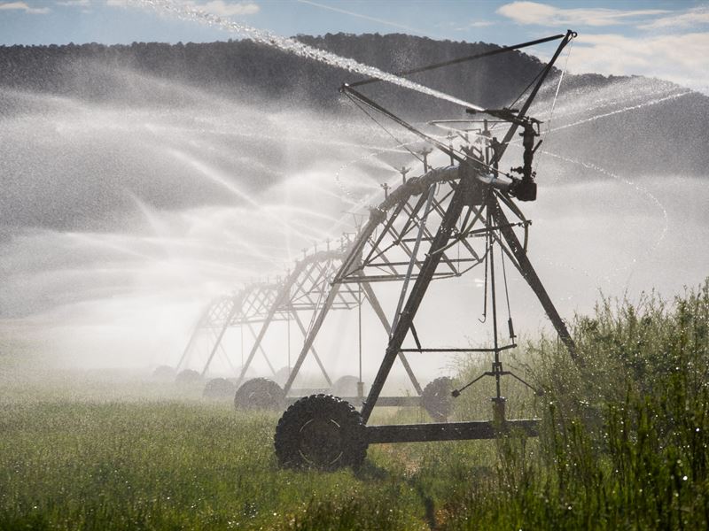 Silt Investment Farm : Silt : Garfield County : Colorado