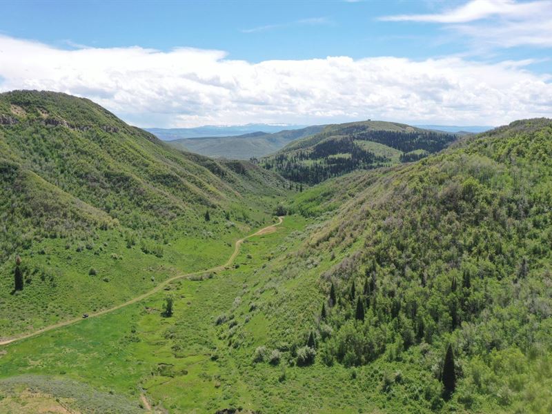 Tow Creek Ranch : Steamboat Springs : Routt County : Colorado