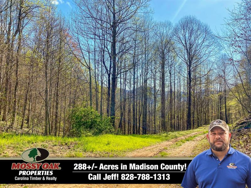 288 Gorgeous Acres in Madison Co : Marshall : Madison County : North Carolina