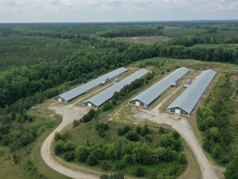 Price Reduced, Orvin Broiler Farm : Kershaw : Kershaw County : South Carolina