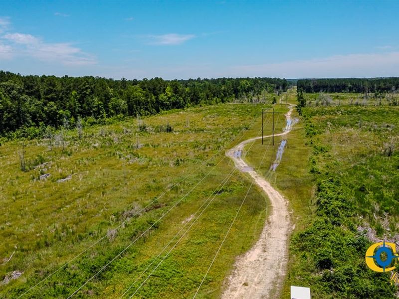 Wesson Tract : Junction City : Union County : Arkansas